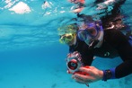 Book a Photo Disc of your diving adventure